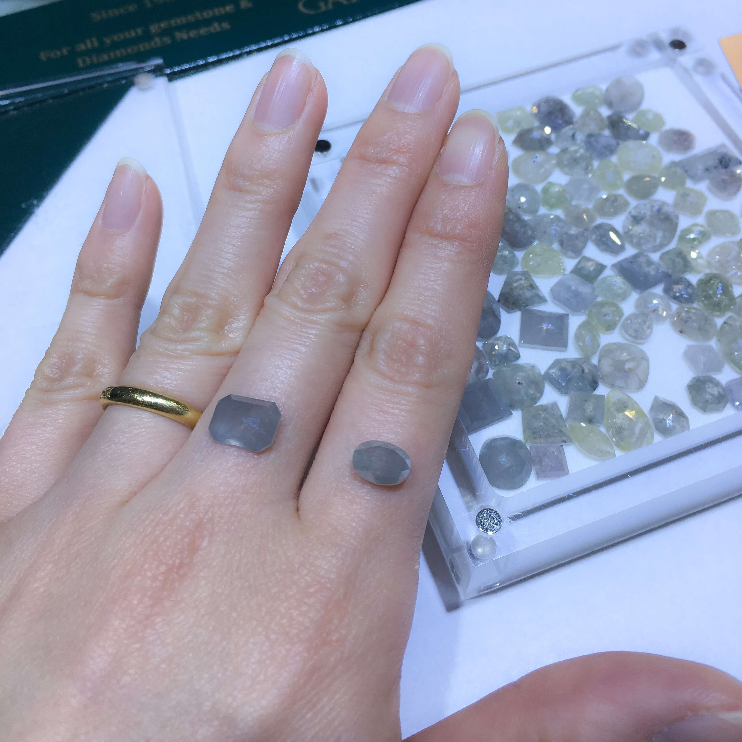 アリゾナ州ツーソンで行われる世界最大のジェムショーに買い付けに行っ